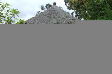 ユースホステル Mount Kilimanjaro View Lodge