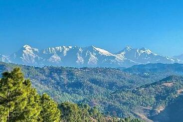 بنسيون Green Garden Homestay