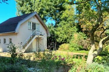 Bed and Breakfast Studio 107