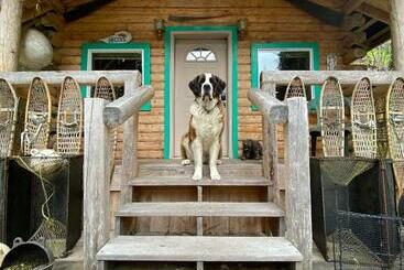 ペンション Kobuk’s Kabin