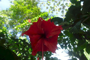 هتل Mandarina