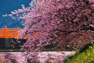 شقة فندقية 地中海の家