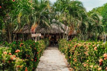 פנסיון Jaba Jan Hostal