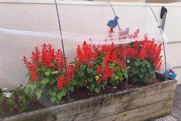 פנסיון Two Rooms With One Queen Size Bed In Each Room One Bathroom For The Two Rooms