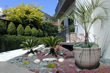 Ascot Parnell Boutique Bed And Breakfast