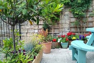 The Royal Hotel And Bar