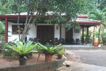 Bed and Breakfast Chitru House