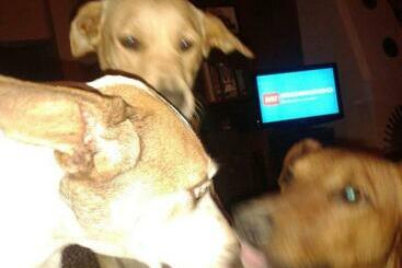 پانسیون La Estancia Hostel