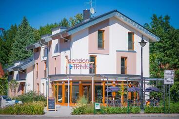 פנסיון Penzion Trnka