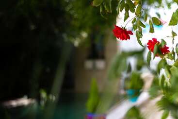 Granados Palacio Hotel Boutique