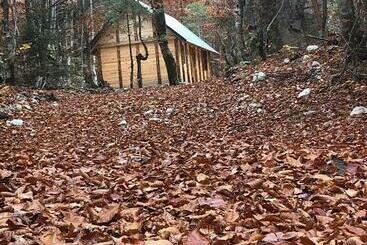 פנסיון Guesthouse Dioni