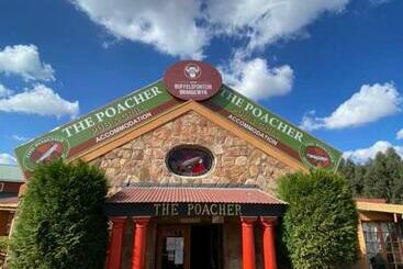 ユースホステル Poacher