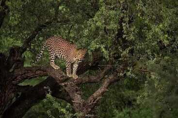 Отель Hyatt Place Jaipur Malviya Nagar