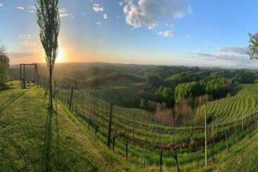 هتل Sibon Wine & Spa Resort Jeruzalem