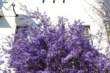 Klein Morgenster B&b