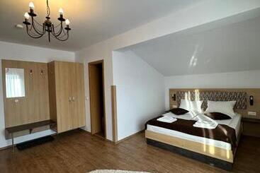 Пансион Vila Paltinis