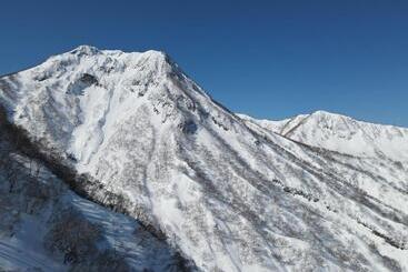 בית מלון כפרי Björk （森の宿 ビヨルク）
