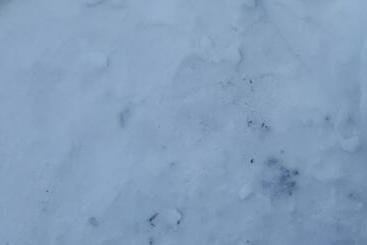 بنسيون Bonita Chalet