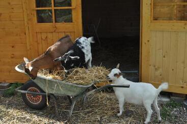 Bed and Breakfast Chambre Merisier Dans Une Ferme Avec étang Privé Au Coeur De La Région Des Mille étangs, Faucogney E