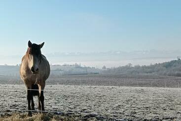 펜션 Domaine De Buffevent