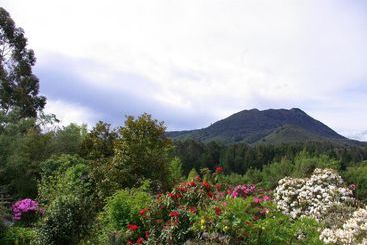 酒店 Kauri Point Luxury Bed & Breakfast