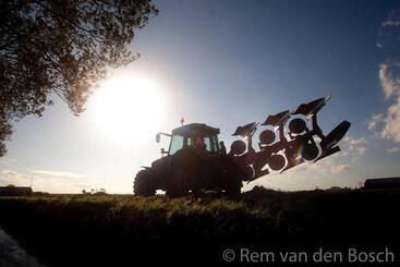 Пансион Tilias