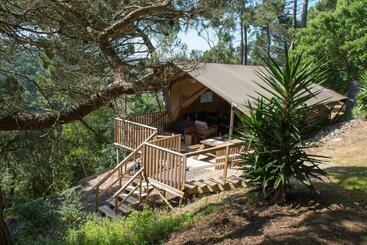 צימר Quinta Japonesa