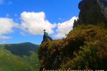 פנסיון Las Casitas De Requeixo