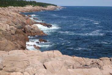 Back Home Bed And Breakfast