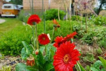 צימר Vakantiewoning Victors Hof Tot 4 Pers