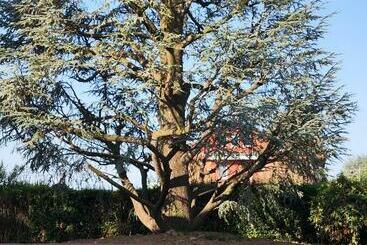 住宿加早餐 Villa Cresto