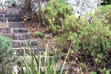 ペンション The Green Room Wattle Glen