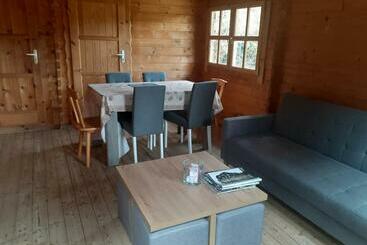 Séjour Au Milieu Des Chevaux