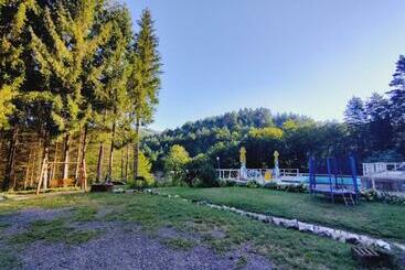 Пансион Cabana Cerbu