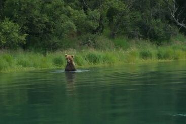 فندق Alaska S Gold Creek Lodge