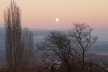 Отель Ghost City Inn