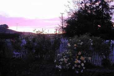 Отель Point Reyes Vineyard Inn