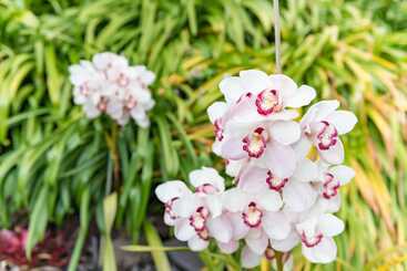 Жильё для туристов Abri Apartments