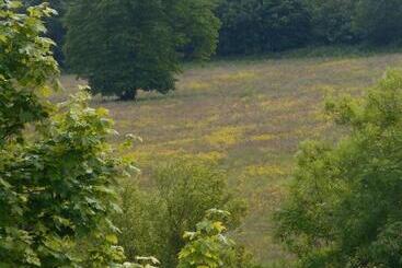 ペンション Diamond Hill Country House