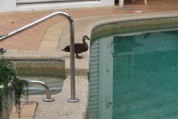 Апартаменты Portside Noosa Waters