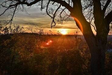 호텔 Landgasthof Falken