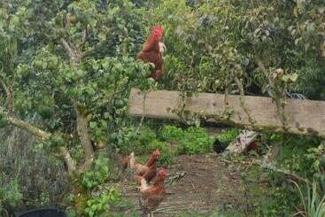 مبيت وإفطار Bienvenue Chez Joëlle Et André Au 207