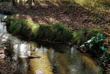 צימר Chambres D Hôtes à Pontonx