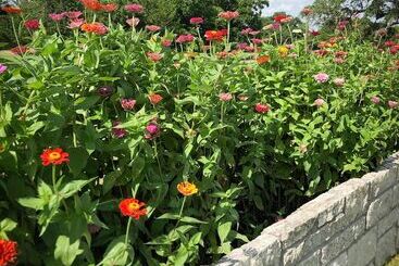 호스텔 Inn At Indian Creek