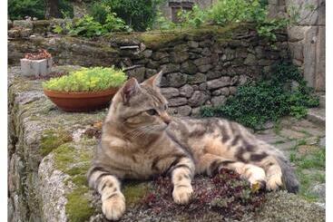 Bed and Breakfast A L Ombre Du Tilleul