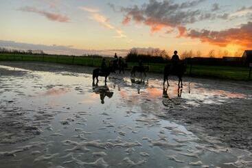 مبيت وإفطار The Horse Farm
