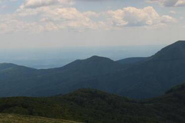 ペンション Hanul Vanatorului