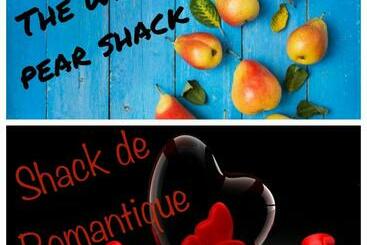 הוסטל The Shack Life