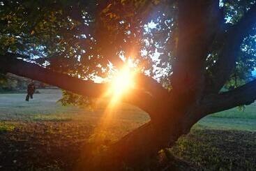 Bed and Breakfast Notre Village Papillon Bed&breakfast