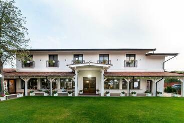 بنسيون Hanul Lui Mihai